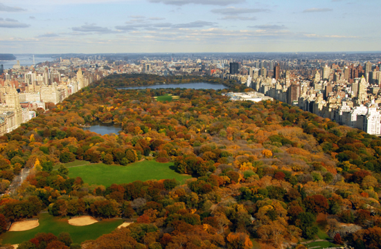 aerial-fall.jpg