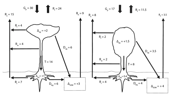 c-flow_final_web.jpg