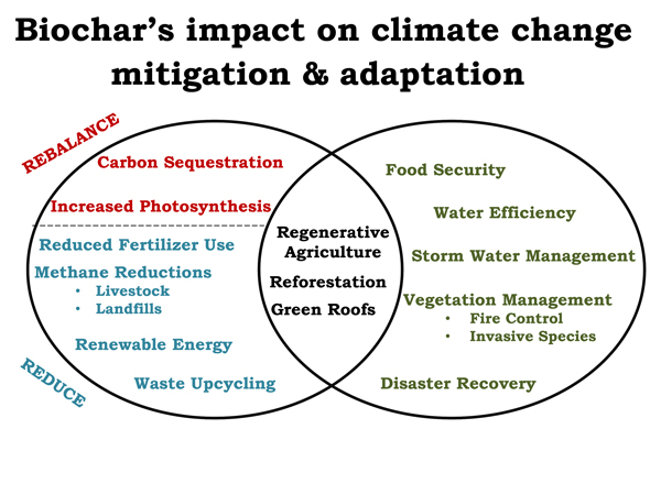mitigation&adaptation.jpg