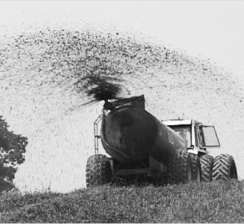 image:Treating liquid manure with biochar