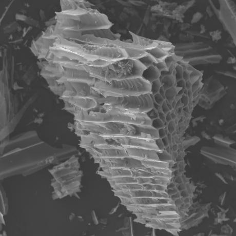 image:How biochar works in soil