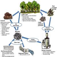 image:Biochar & Coffee