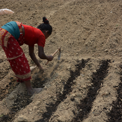 image:Nepali Climate Farming Fund