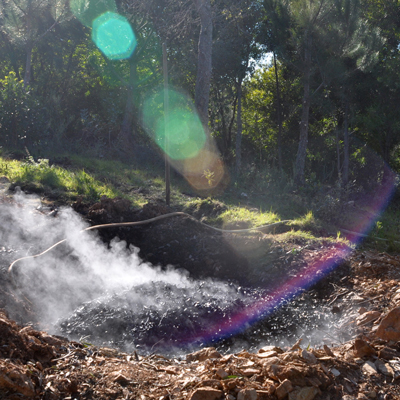 image:Reforestation with biochar