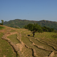 image:Climate Farming Odyssey to Nepal