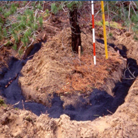 image:Biochar in Japan