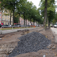 image:Tree Planting