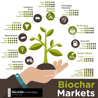 image:The Biochar Displacement Strategy