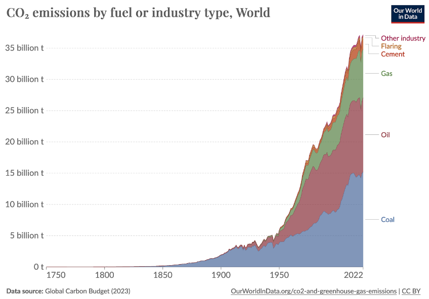 global_carbon_budget.png