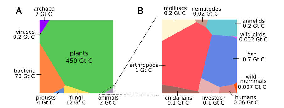 biosphere.png