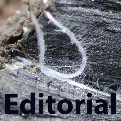image:How Climate Marketing Kills Biochar?