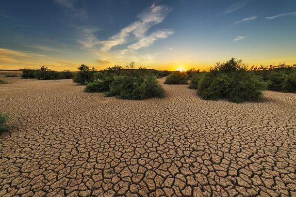 drought.jpg