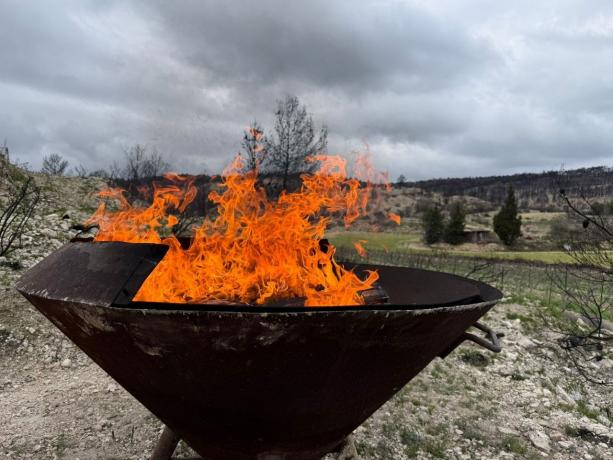 image:Biochar: From Soil to Industry